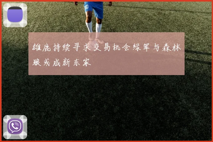 雄鹿持续寻求交易机会绿军与森林狼或成新东家